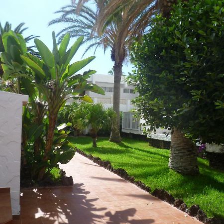 Elana Apartment With Free Wifi Costa Del Silencio Dış mekan fotoğraf
