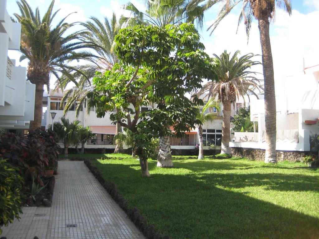Elana Apartment With Free Wifi Costa Del Silencio Dış mekan fotoğraf