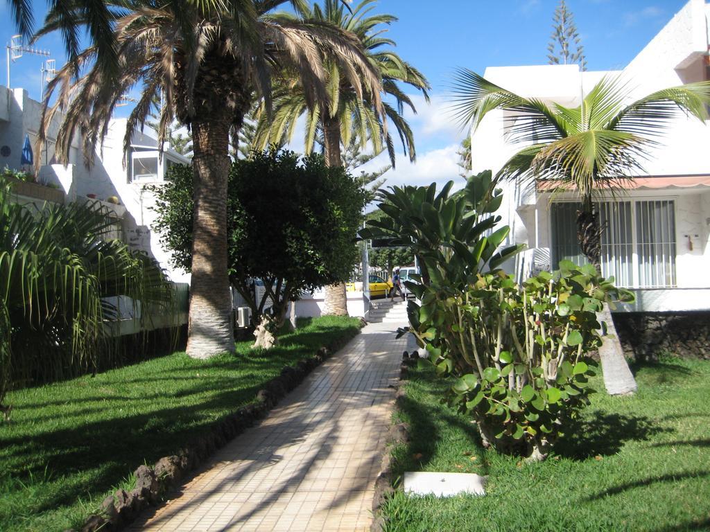 Elana Apartment With Free Wifi Costa Del Silencio Dış mekan fotoğraf