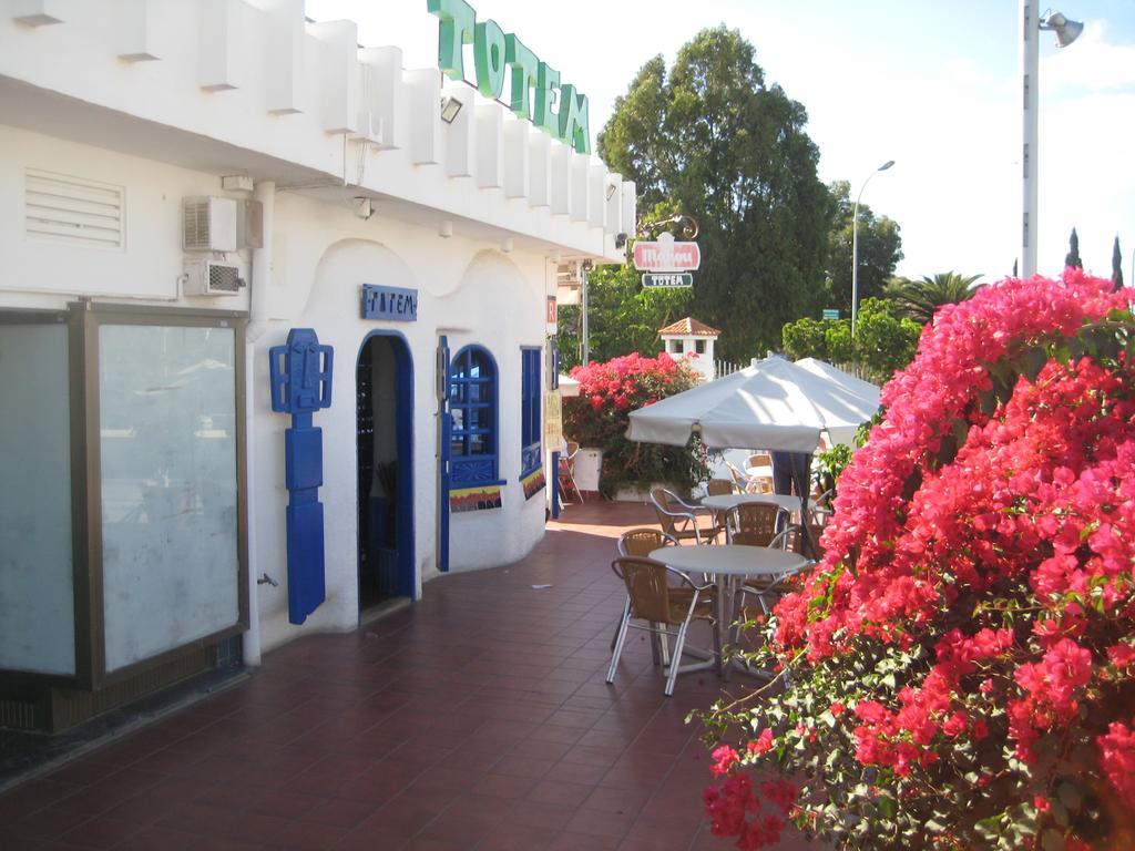 Elana Apartment With Free Wifi Costa Del Silencio Dış mekan fotoğraf