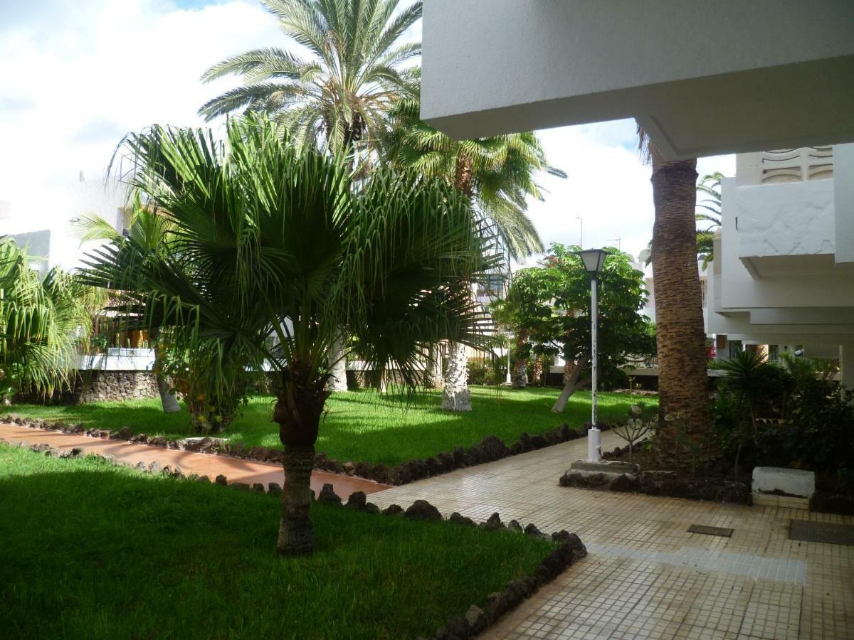 Elana Apartment With Free Wifi Costa Del Silencio Dış mekan fotoğraf