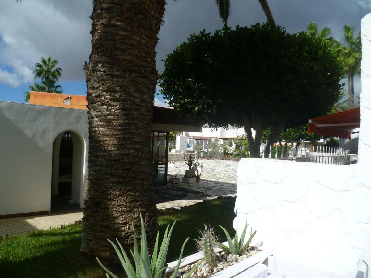 Elana Apartment With Free Wifi Costa Del Silencio Dış mekan fotoğraf